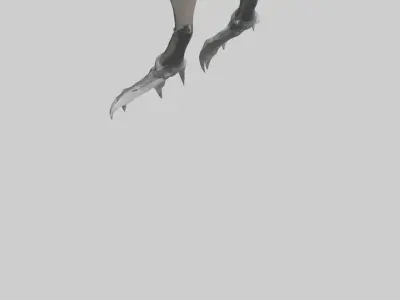 Falcon Talons Low-poly 3D model