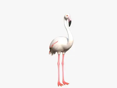 White Flamingo Low-poly 3D model