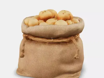 Woven Potato Sack Low-poly 3D model