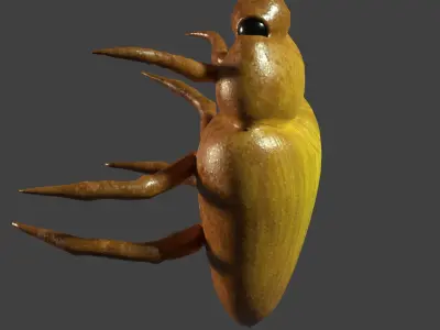 Bug 3D Rigged Model Low-poly 3D model