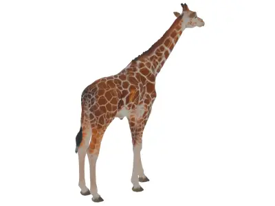 Giraffe Low-poly 3D model order