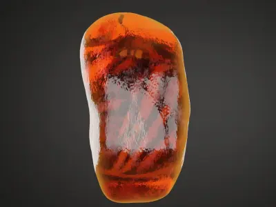 Fossilized Amber 3D model