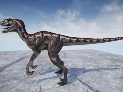 3D Velociraptor dinosaur Low-poly 3D model
