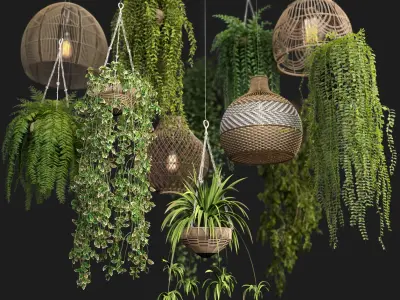  Rattan Pendant lights with hanged Plants 