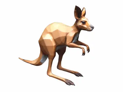 A Kangaroo 3D model