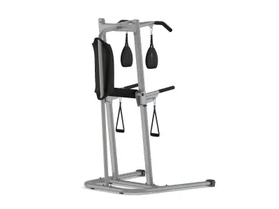 Bowflex BodyTower 3D model