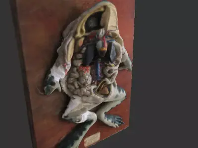 Anatomy Plaster Frog Model 3D model