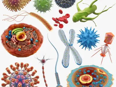 Microscopic Collection 14 in 1 3D model