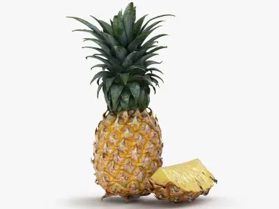 Pineapple Fruit 3D model