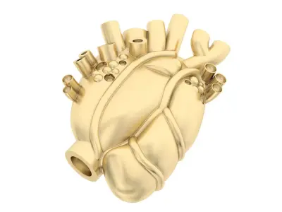 Heart human gold 3D print model