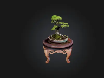 Unique Bonsai Tree Stand Low-poly 3D model