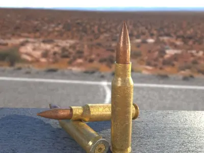 Rifle Bullets 3D model