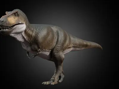 Tyrannosaurus rex Low-poly 3D model 18