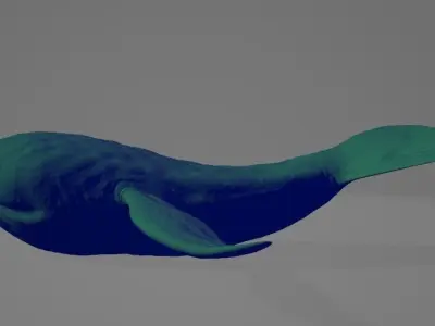 Whale High and Low poly FBX Low-poly 3D model