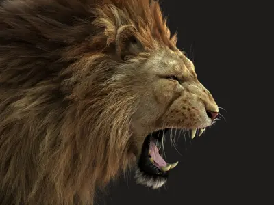 Lion 3 RIG FUR 3D model