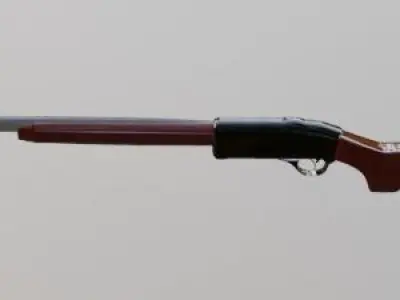 3d model of drobovik gun 3D model