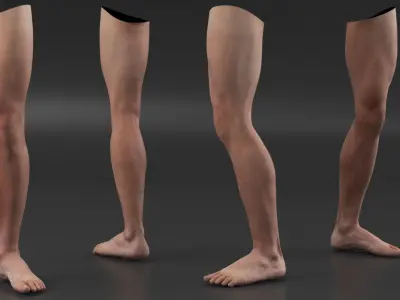 Male Athletic Leg 3D model purchase