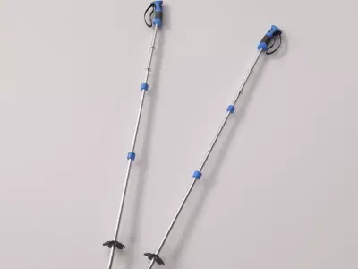 Ski Poles 3D model
