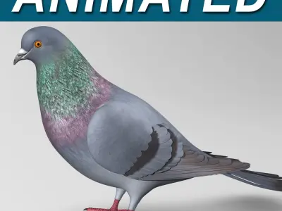Pigeon A - Folded Wings 3D model purchase