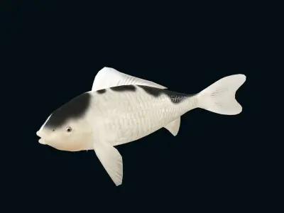 animated carp fish koi Low-poly 3D model