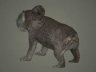 cute nature art animal mammal rat wildlife animals koala bear 3D model