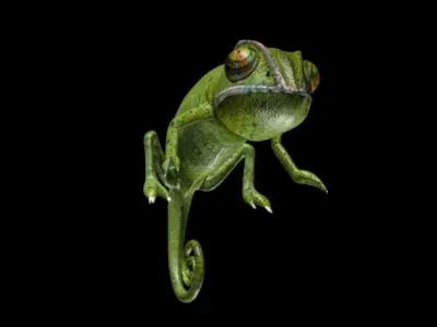Chameleon Low-poly 3D model