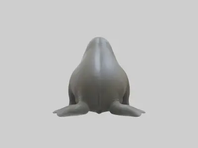 Standing Elephant Seal Model Low-poly 3D model