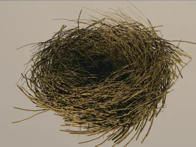 Bird Nest 3D model 4