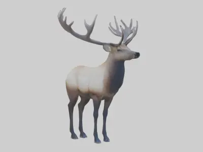 Elk deer Low-poly 3D model purchase