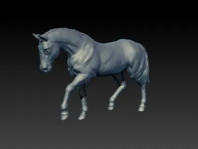 Horse 3D model 9