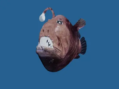 angler fish 3D model purchase