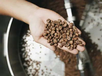 Hartanzah Coffee and Cocoa Roaster  Free 3D model