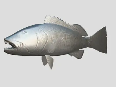 Cubera Snapper Realistic Animated Low-poly 3D model