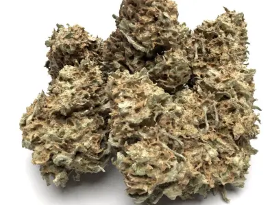 Cannabis Bud 03 3D model