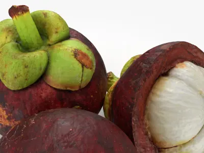Mangosteen Fruit 3D model