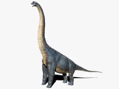 Dinosaur Brachiosaurus Sculpt Project 3D model