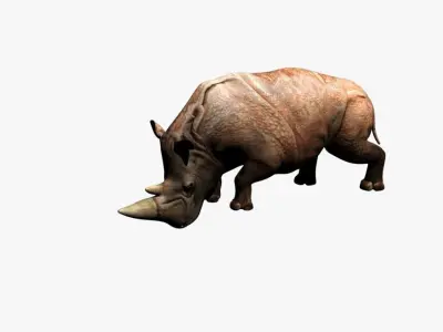 Rhino animation Low-poly 3D model