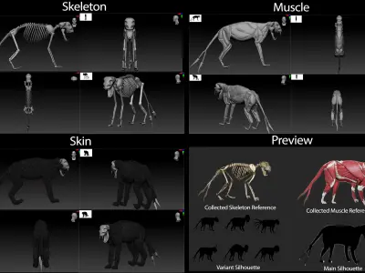Dinosaur Skeleton 3D model