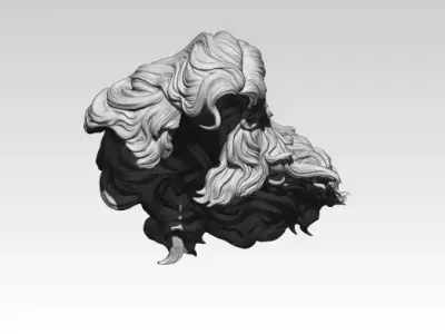 Woman Girl Hair 3D print model