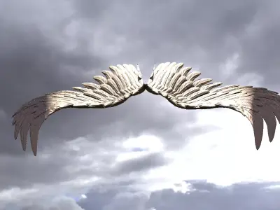 Serafim Wings 8  3D model