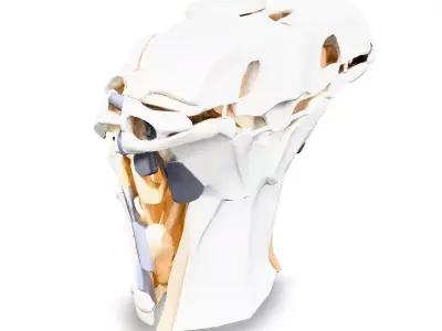 SciFi Robotic Torso and Neck Low-poly 3D model