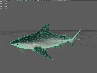 Shark Low-poly 3D model 9