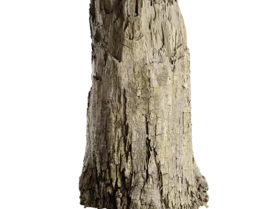  Medium Cut Decaying Mossy Stump Model 