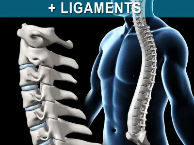  Spine Ultimate 