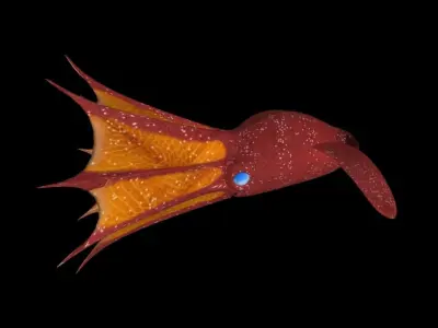 3d Vampire Squid Fish Low-poly 3D model