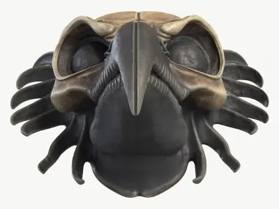 Crow Skull Mask 3D model