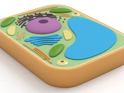 Plant Cell v2 3D model