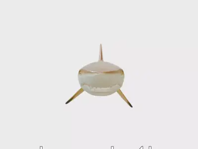 Sawshark Model with Saw-like Snout and Detailed Texture Low-poly 3D model