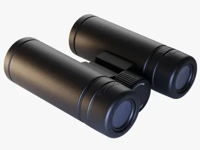 Binocular 3D model purchase