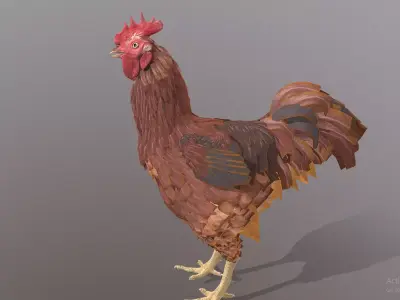 Eating Rooster CHICKEN PECKING Food 3D model